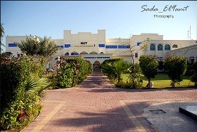 جامعة نيويورك